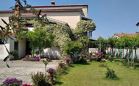 Apartment Sasa Bozac