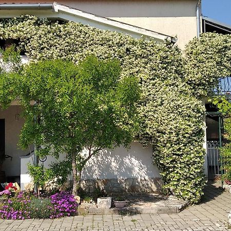 Apartment Sasa Bozac Porec Esterno foto
