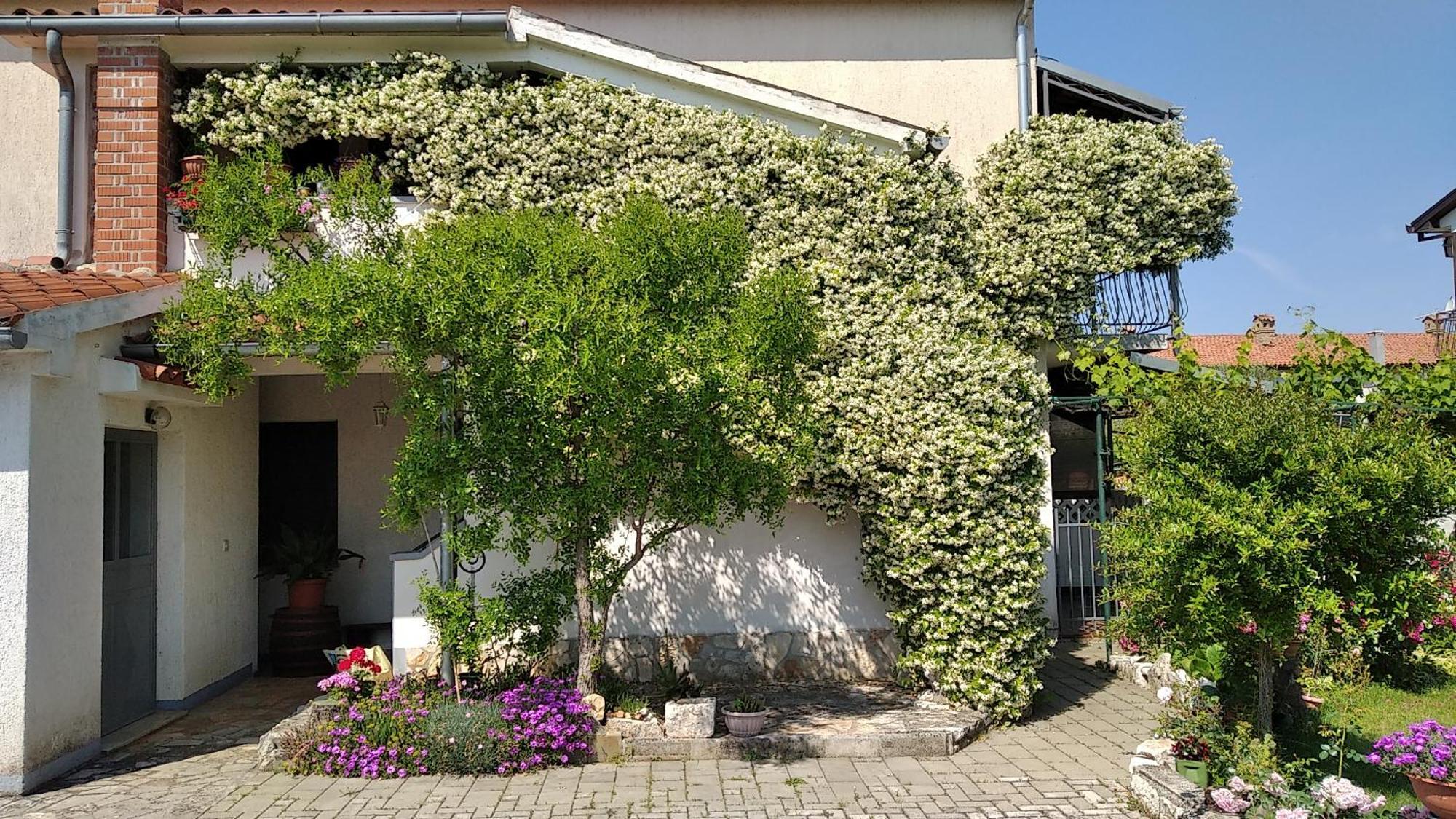 Apartment Sasa Bozac Porec Esterno foto