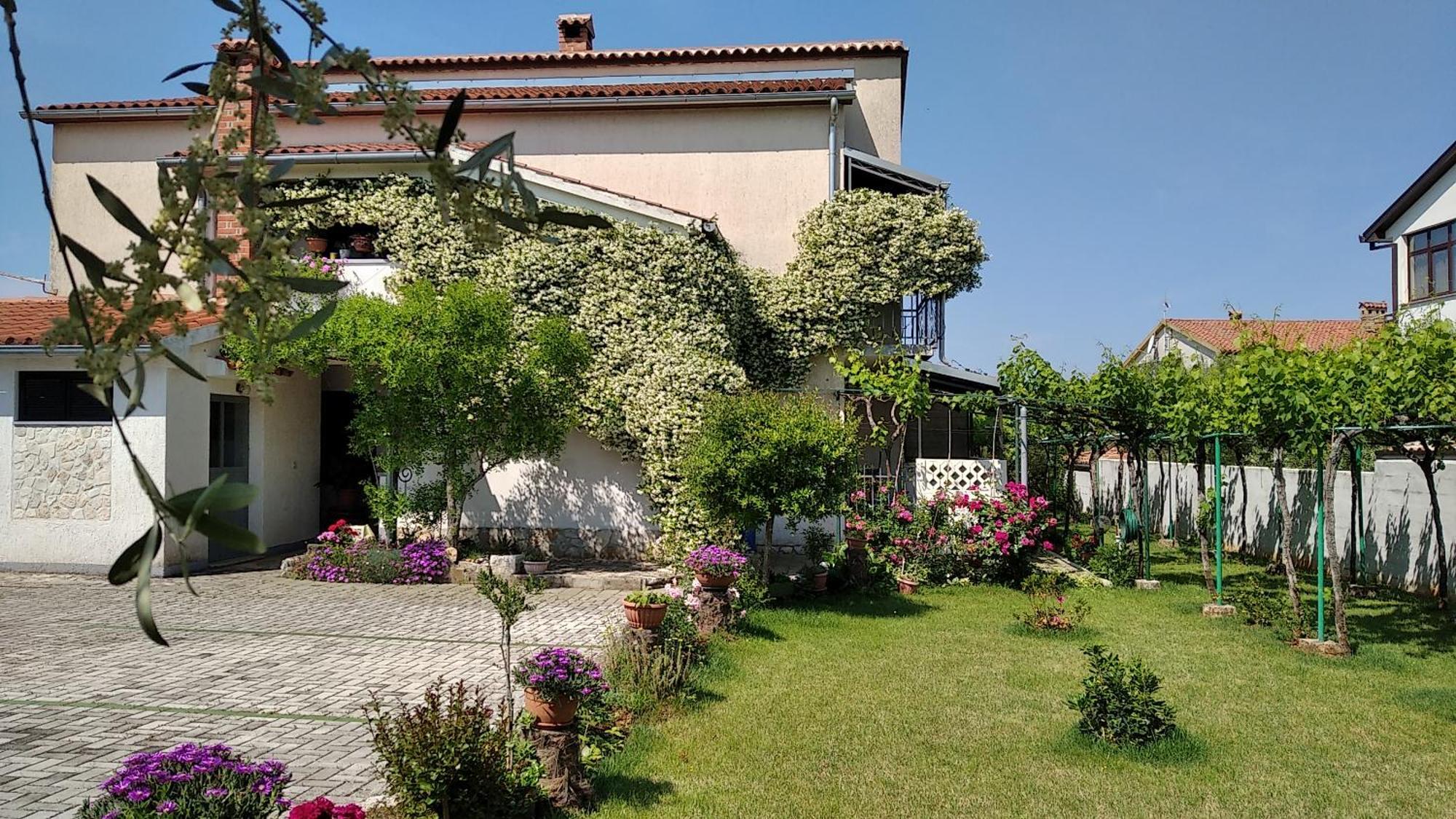 Apartment Sasa Bozac Porec Esterno foto
